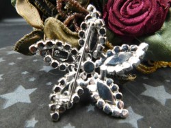 sherman star pin back